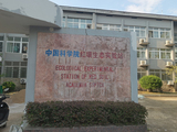 文章附图