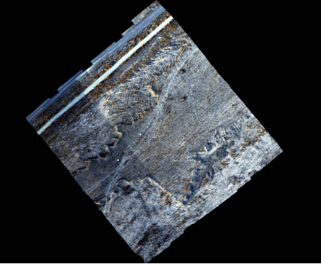 新疆农业大学 机载高光谱成像仪Pika L 安装培训